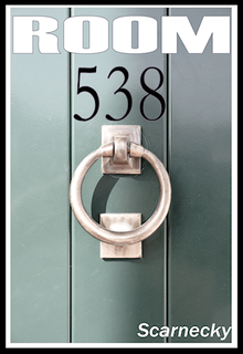 ROOM 538 by Brad Scarnecky Gordon